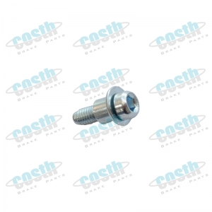 Screw With Rivet  1575
