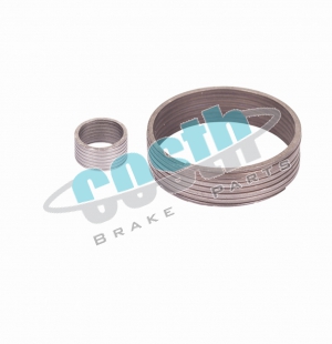 Caliper Spring Set (left) 60-2106