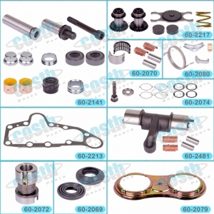 Caliper Repair Kit (Right) CST 2069